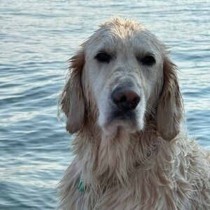 Meet your Posher, Liz